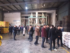 50多家飼料企業來廠參觀交流,聚焦農科 粉包粒 教槽料