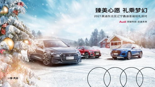 臻美心愿 遼寧鑫迪圣誕派對(duì)歡樂開啟